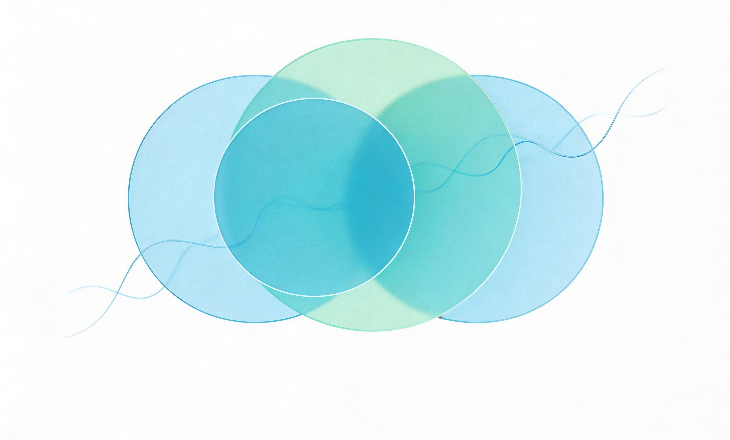 語言驗證服務包括哪些內容?如何選擇驗證機構?